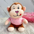 Monkey Soft Toy Fashion