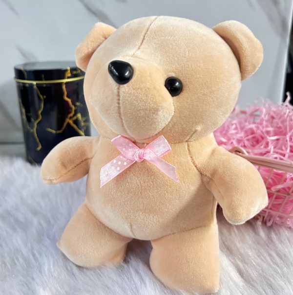 Teddy Bear Soft Toy (Select From Drop Down Menu) Fashion