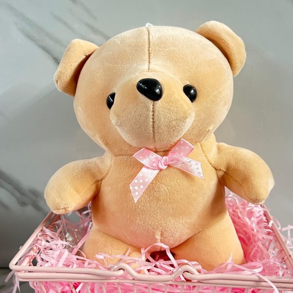 Teddy Bear Soft Toy (Select From Drop Down Menu) Fashion